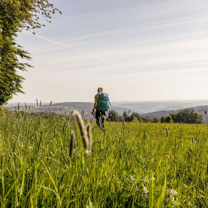 Qualitätswanderweg Erzgebirge-Vogtland, unterwegs auf dem Kammweg