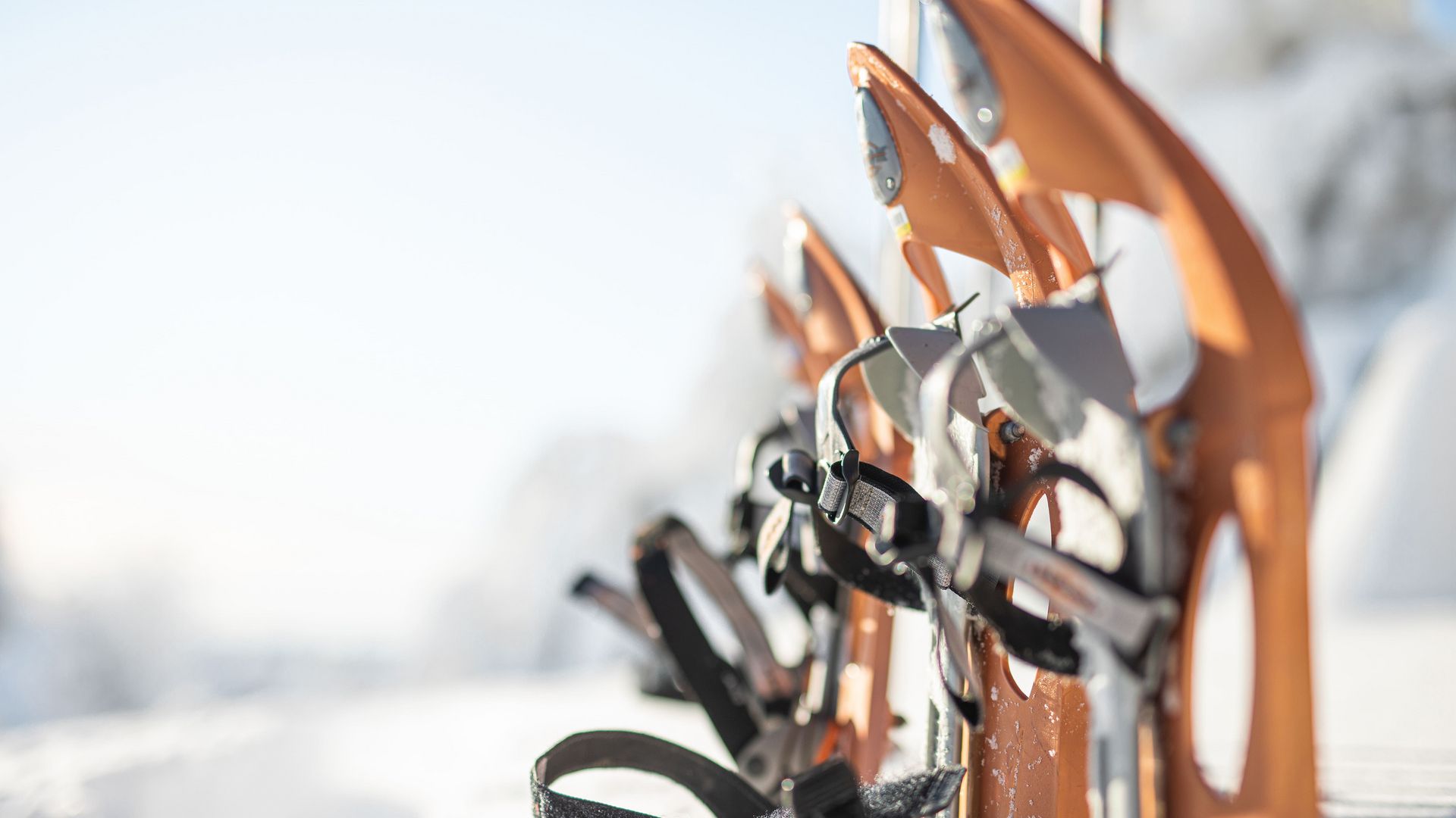 Skier im Schnee