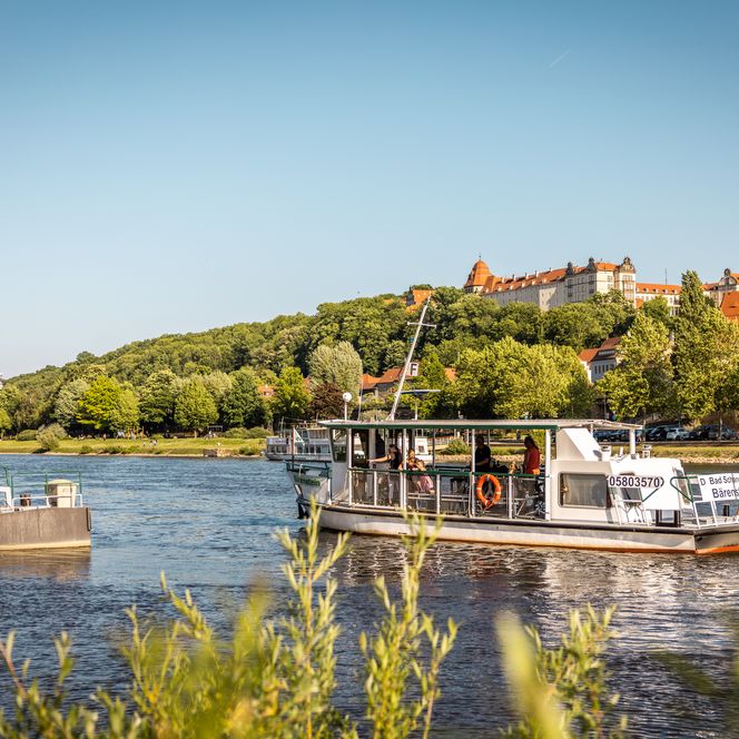 Sächsischer Weinwanderweg, Pirna in der Sächsischen Schweiz