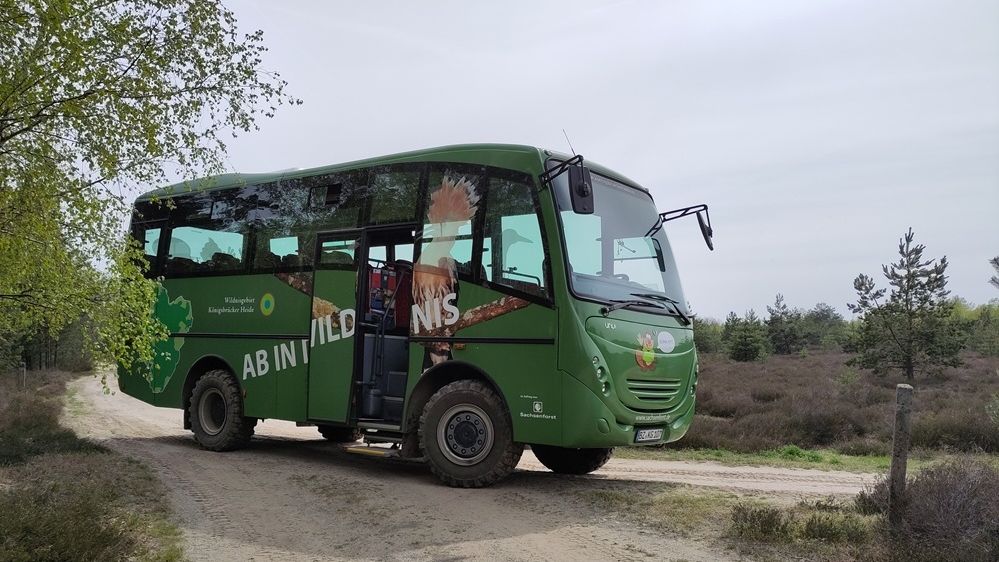 Grüner Geländebus im Wildnisgebiet Königsbrücker Heide