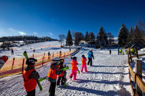 Eine Gruppe Skischulkinder macht sich mit ihren Skiern und ihrem Skilehrer auf den Weg zur verschneiten Piste.