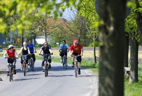 Einige Radfahrer fahren auf einer Straße in Schwarzkollm. 