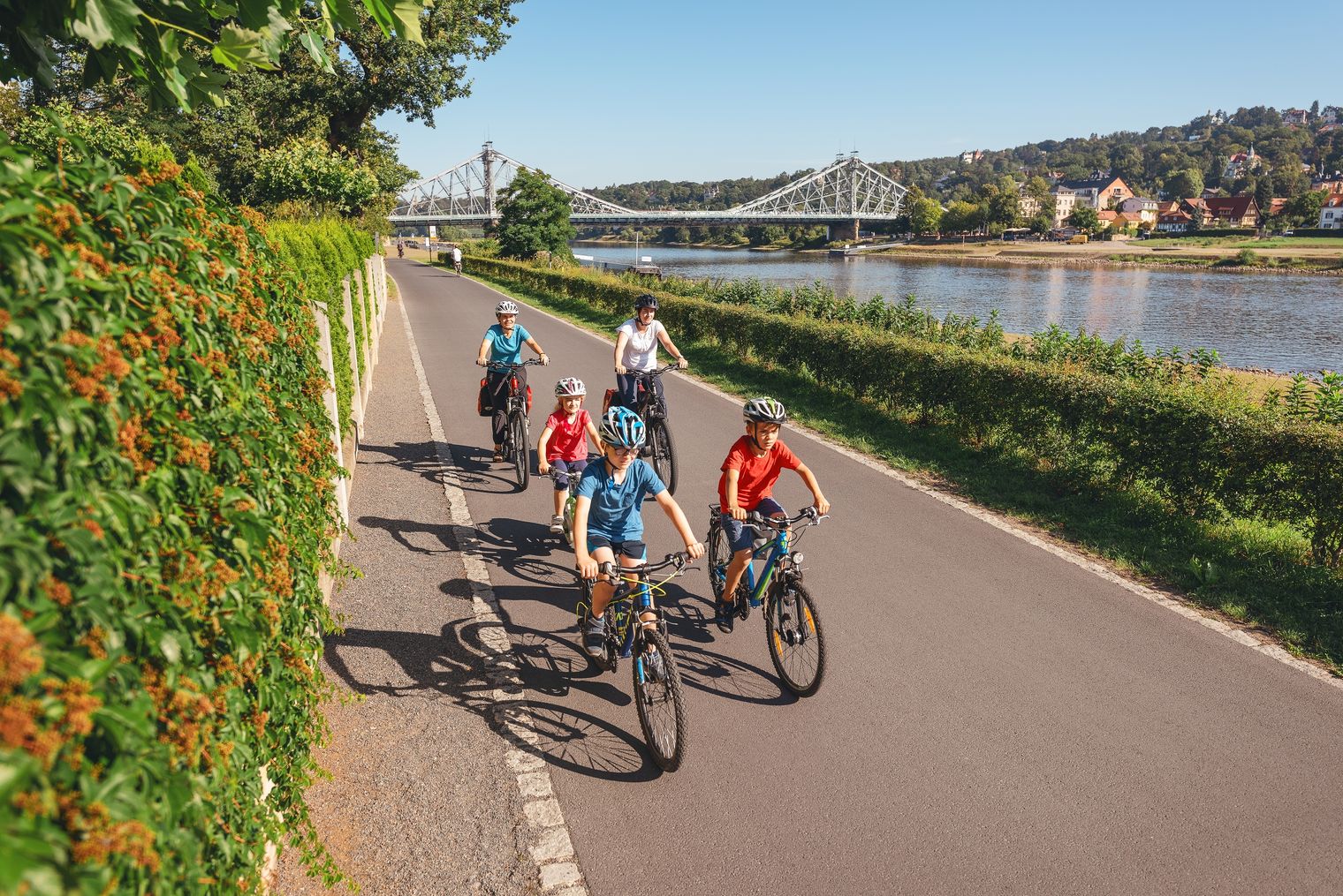 Elberadweg in Sachsen, Blick auf das blaue Wunder
