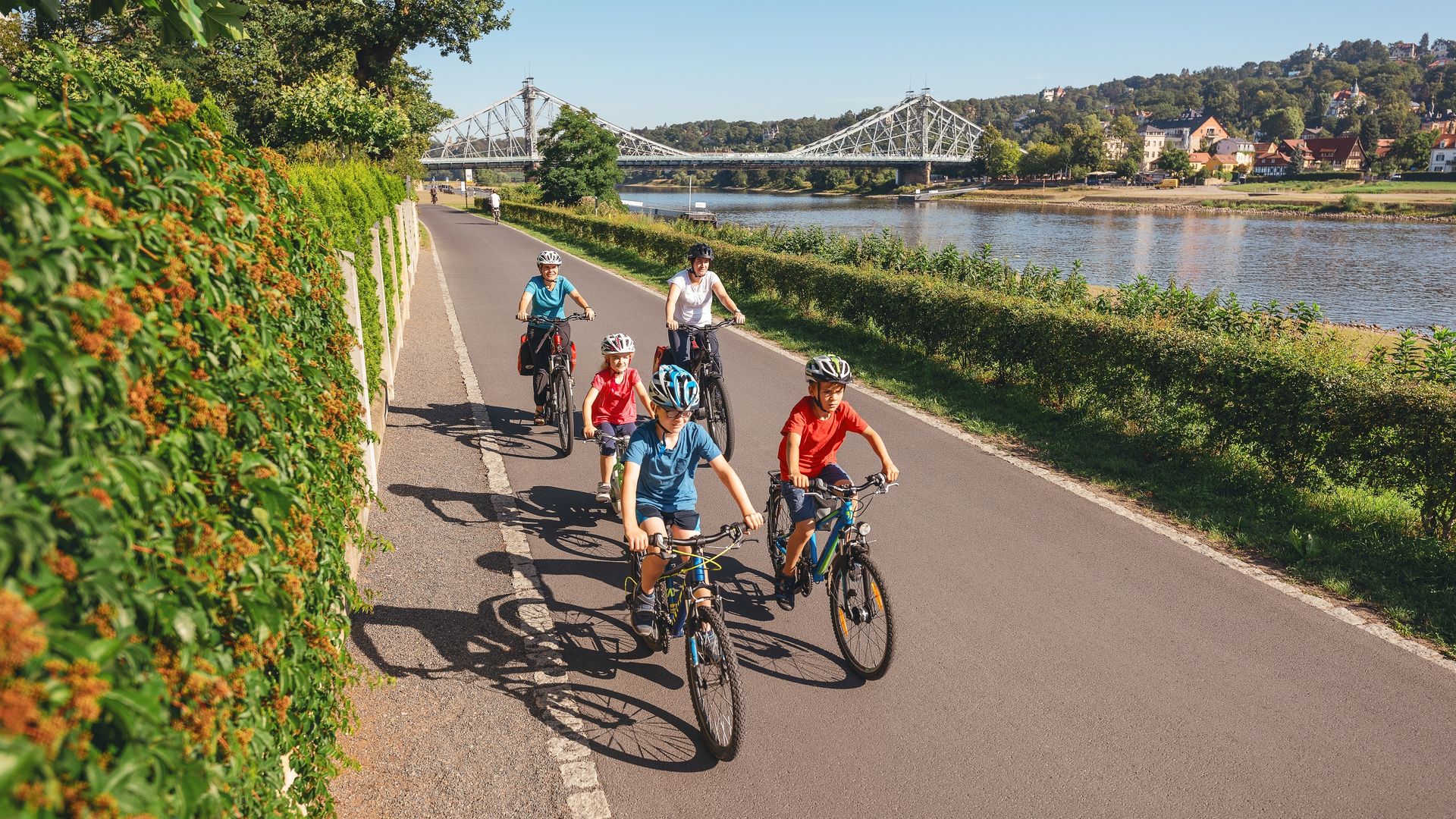 Elberadweg in Sachsen, Blick auf das blaue Wunder