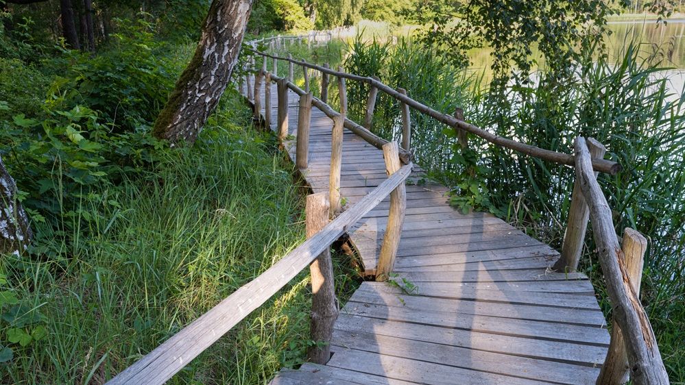 Hölzener Steig "Biberpfad" im Wildnisgebiet Königsbrücker Heide