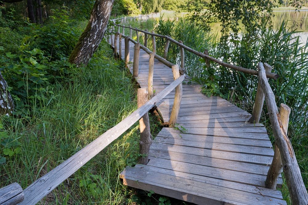 Hölzener Steig "Biberpfad" im Wildnisgebiet Königsbrücker Heide