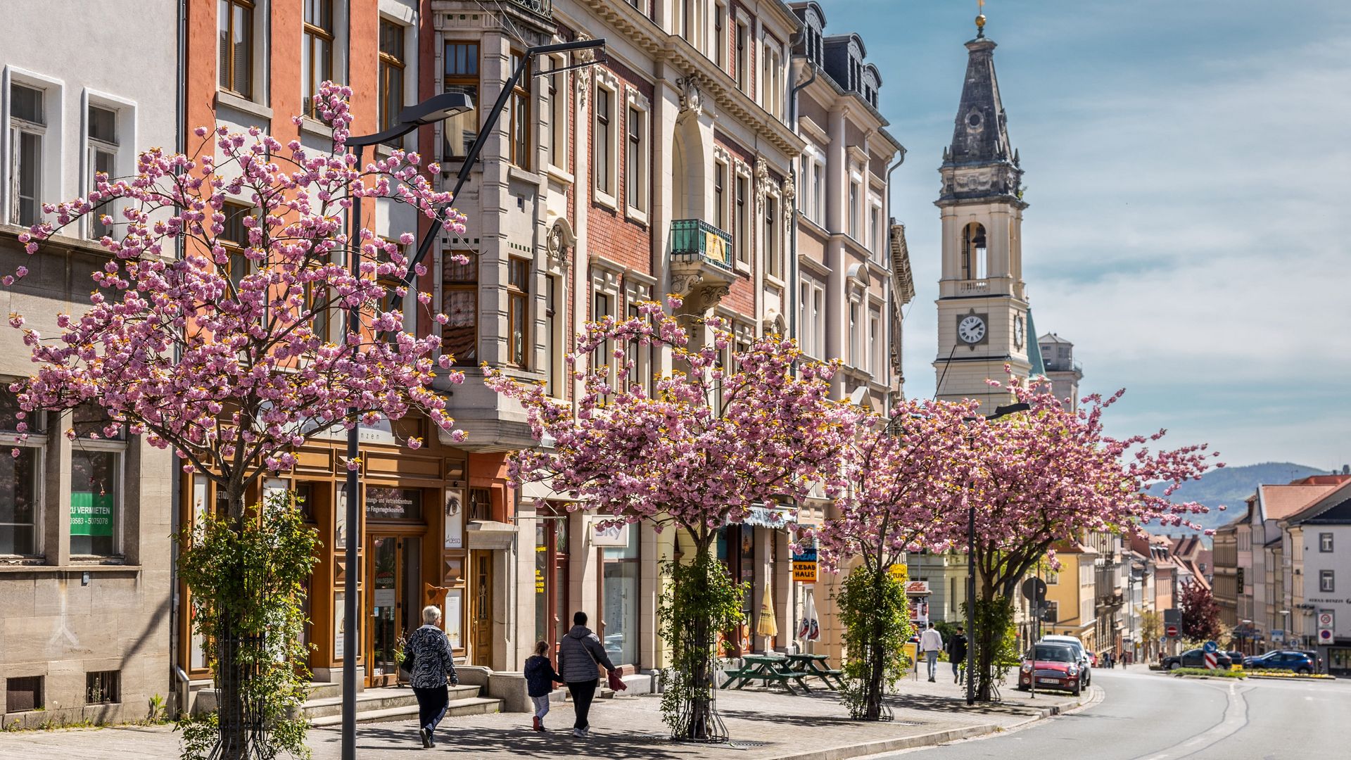 Stadtansicht von Zittau im Frühling / City view of Zittau in spring