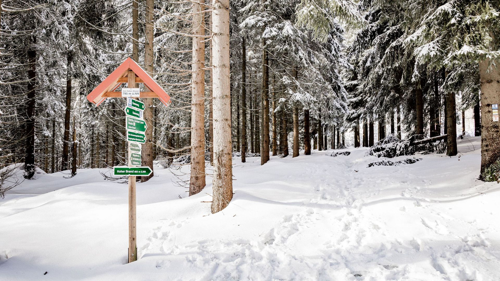 Winterwald