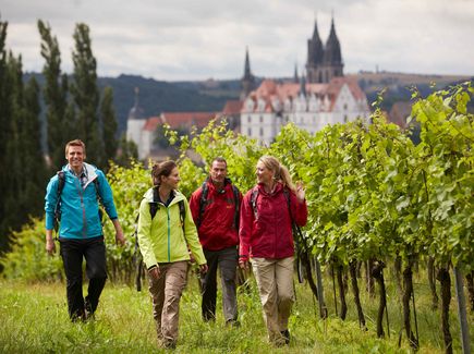 Vier Personen wandern mit Wanderausrüstung bekleidet durch die grün blühenden Weinberge von Meißen. Im Hintergrund ist die Albrechtsburg von Meißen zu sehen. Die Menschen lachen und erfreuen sich bei ihrer Wandertour.