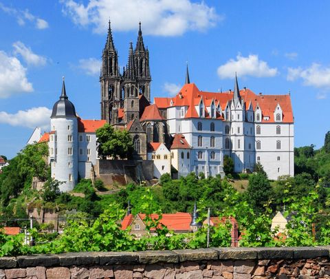 Blick auf die Albrechtsburg und den Dom an einem schönen Sommertag mit blauem Himmel
