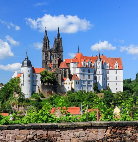 Blick auf die Albrechtsburg und den Dom an einem schönen Sommertag mit blauem Himmel