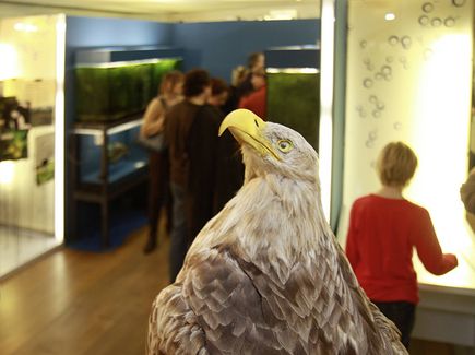 Ausstellungsräume der Themenwelt Nutzen mit Besuchern