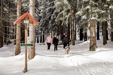 Winterwandern am Kegelberg / Erlbach