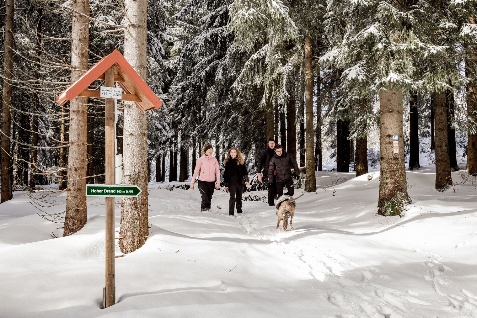 Winterwandern am Kegelberg / Erlbach