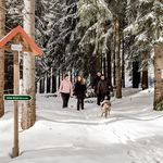 Winterwandern am Kegelberg / Erlbach