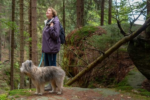 Eine Frau wandert bei Hinterhermsdorf mit einem Hund. Um sie herum sind Felsen und Bäume. 