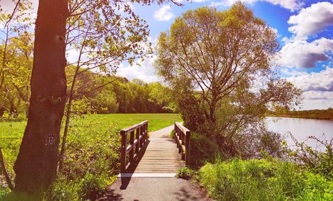 Weg der am Wasser entlangführt über eine kleine Holzbrücke