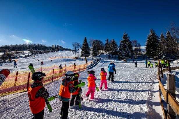 Kinder in der Skischule in der Skiarena Eibenstock in Wurzelrudis Erlebniswelt.