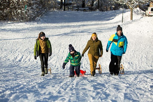 Eine Frau, ein Mann und zwei Kinder sind im Winter rodeln. Alle tragen winterwarme Kleidung. Die Frau, der Mann und das junge Mädchen ziehen einen Schlitten hinter sich her. Der kleine Junge zieht einen Bobschlitten hinter sich her.