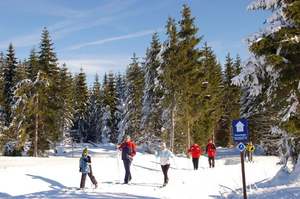 Langläufer auf der sonnigen Kammloipe
