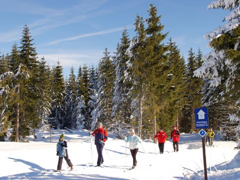 Langläufer auf der sonnigen Kammloipe