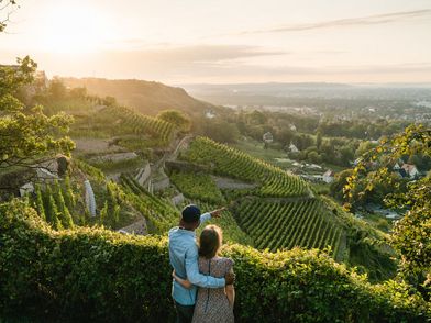 Blick über die Weinberge, (c) Erik Grosser