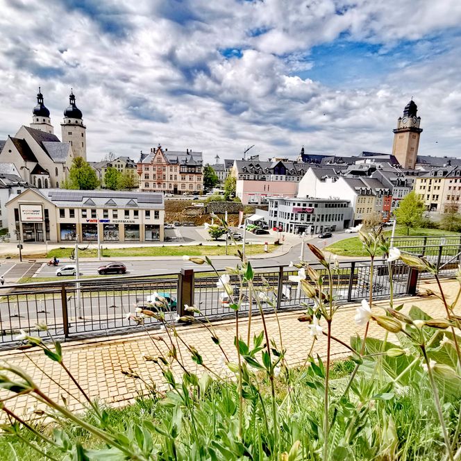 Über ein Geländer kann man auf die Stadt Plauen mit seiner Kirche, Häusern und Geschäften schauen. 