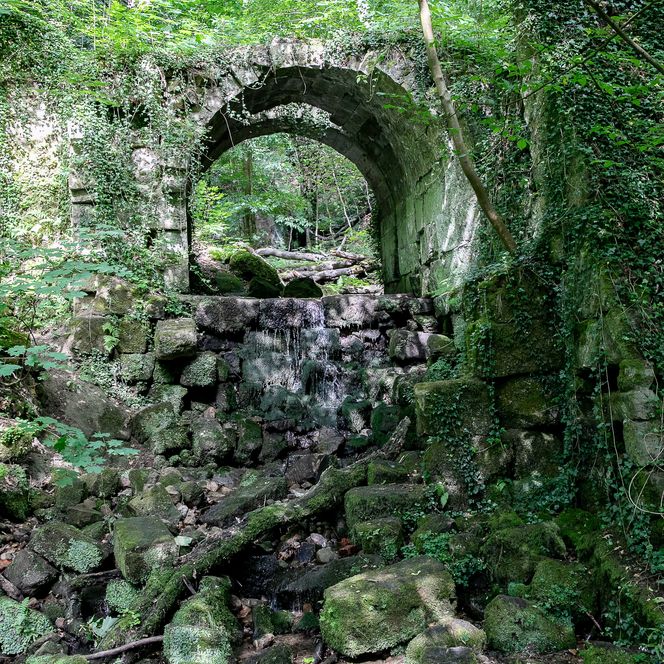 Eine Steinbrücke in einem Wald