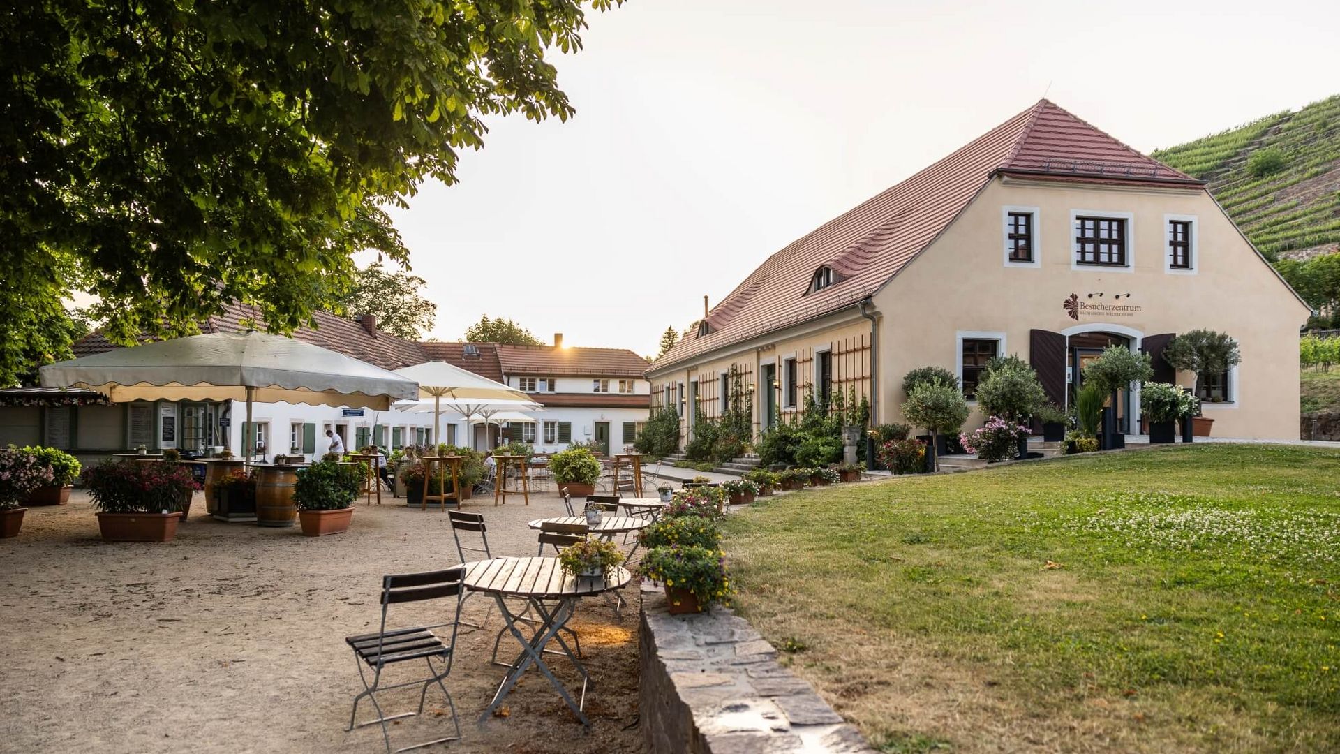 Weingut Hoflößnitz in Radebeul im Sommer / Wine-growing estate Hoflößnitz in Radebeul in summer