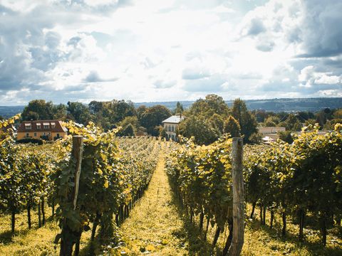 Weingut Karl Friedrich Aust