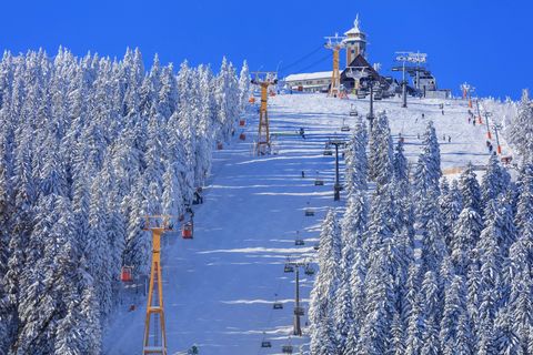 Eine Gondel, ein Sessellift und ein Schlepplift fahren zum Fichtelberg hinauf. Darunter verläuft eine Piste.