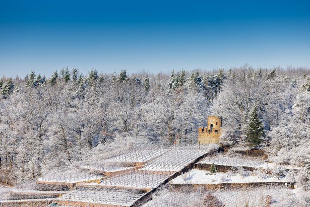 Wartburg im winterlichen Zauber in Weinböhla, Region Dresden Elbland 