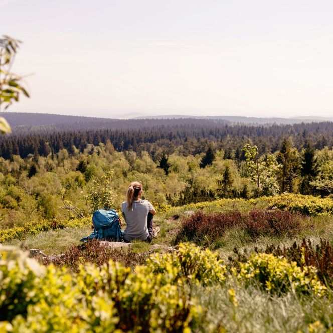 Qualitätswanderweg Erzgebirge-Vogtland, Kammweg mit Aussichtsgarantie