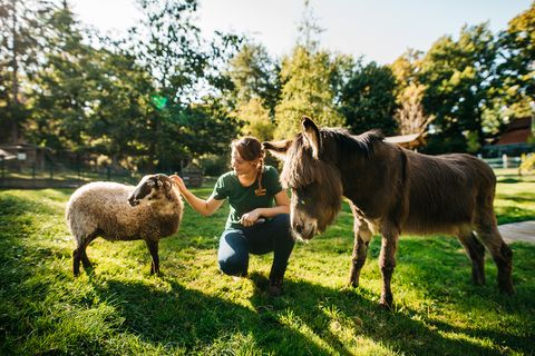 Tierpark Freiberg