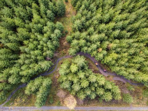 Trailcenter Rabenberg von oben. Eine Straße schlängelt sich durch einen Wald.
