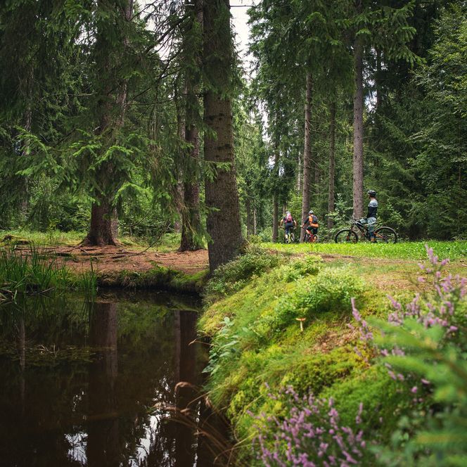 Bikewelt Schöneck