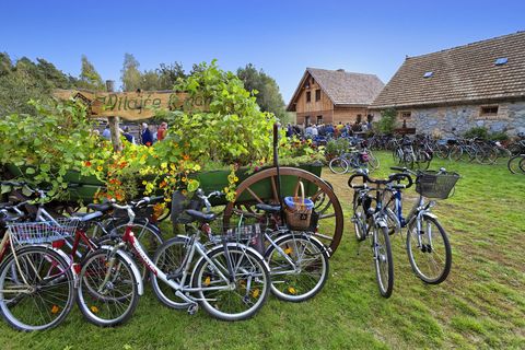 Viele Fahrräder stehen auf der Wiese auf dem Krabathof. Dort sind viele Besucher. 