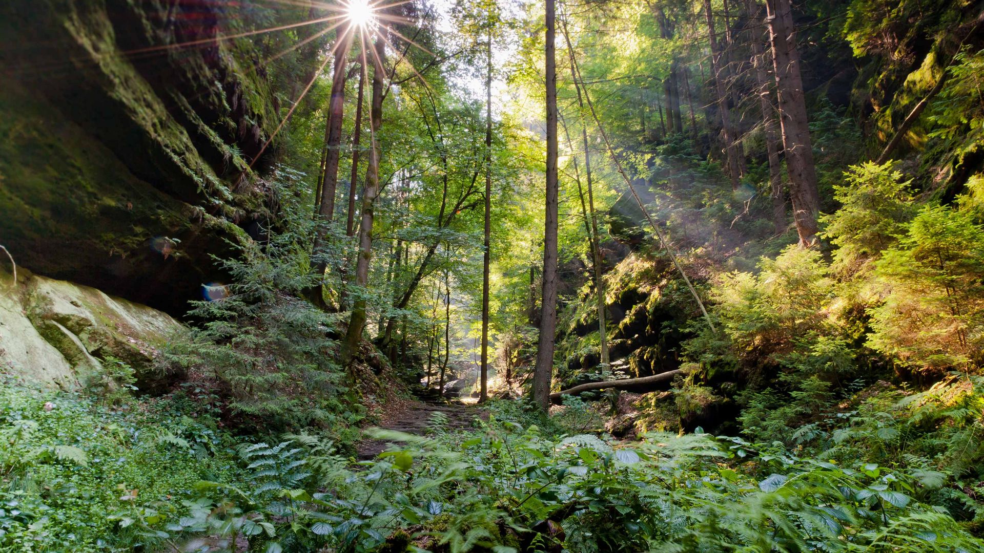 Malerweg - Wanderweg in der Sächsischen Schweiz, Etappe 7