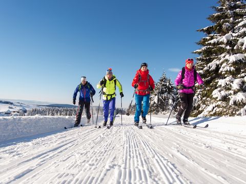 Vier Personen in der Langlaufloipe am Fichtelberg. Es ist herrliches Winterwetter bei strahlendem Sonnenschein.