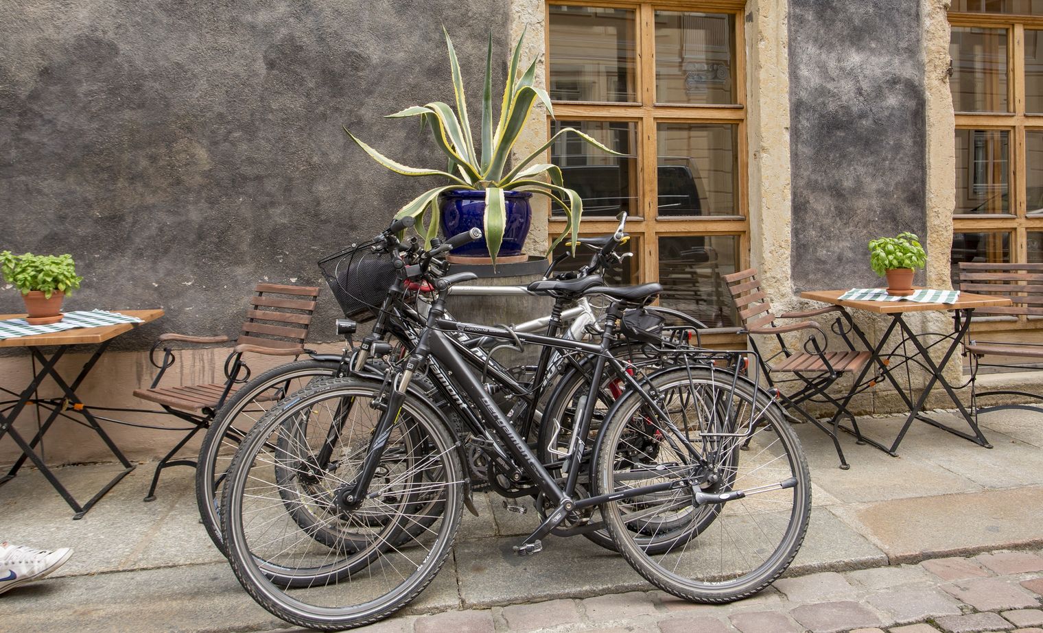 Elberadweg, Pirna Altstadt