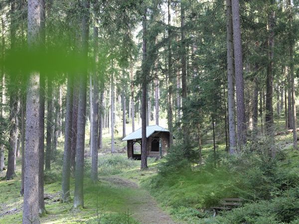 Kur-und Heilwald Bad Elster