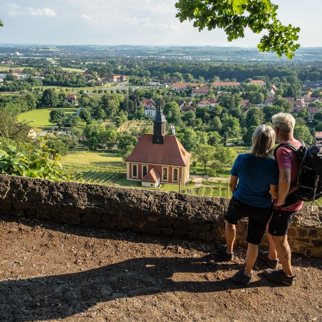Sächsischer Weinwanderweg, Blick von Weinbergkirche in Pillnitz
