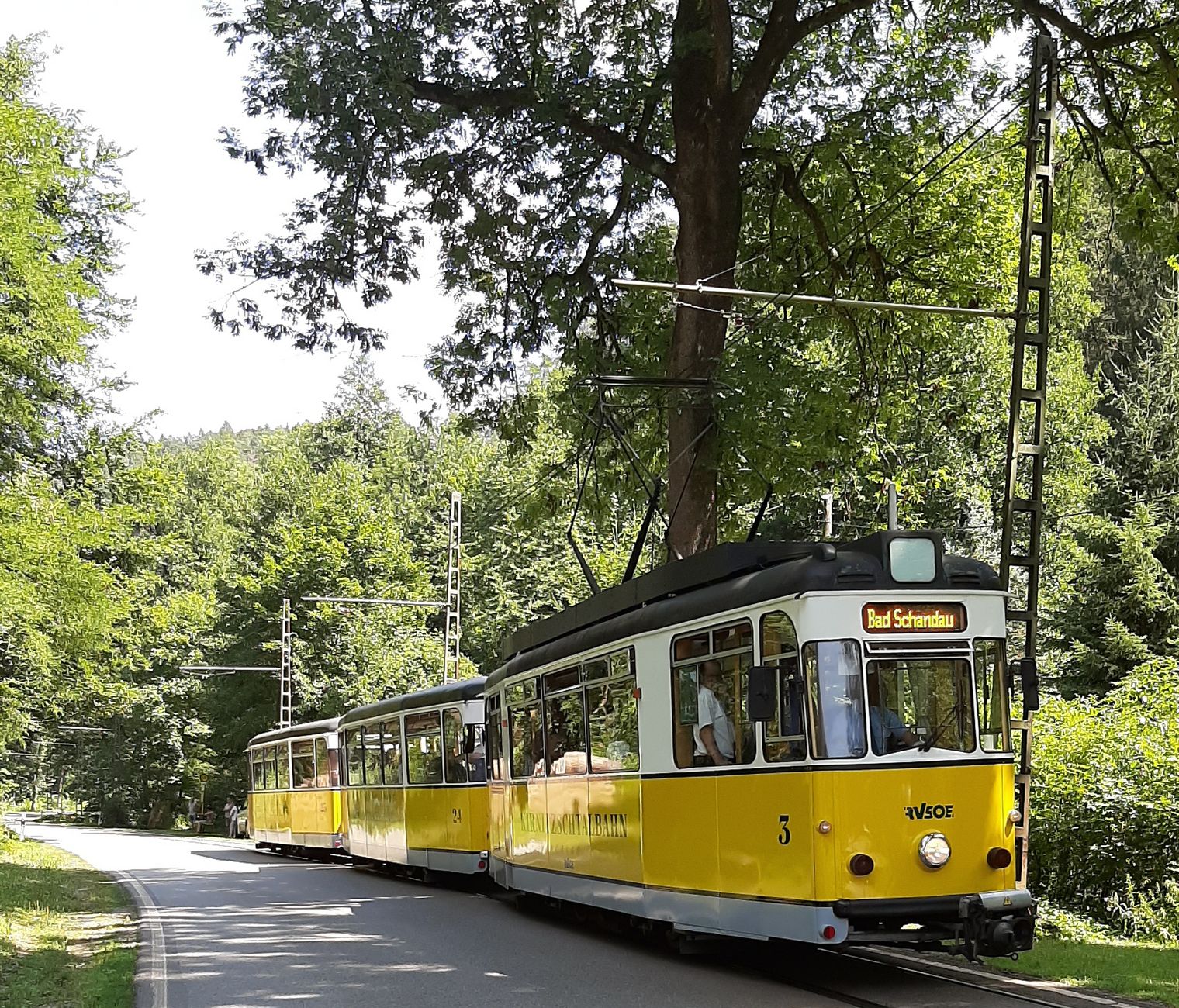 Gelbe Straßenbahn fährt mit Personen bestzt durch den Nationalpark Sächsische Schweiz