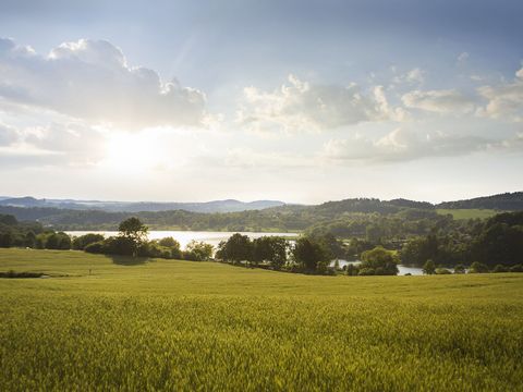 Im Vordergrund sind Wiesen des Vogtlands zu sehen. Dahinter das Wasser der Talsperre Pöhl.