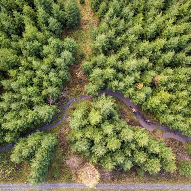 TrailCenter Rabenberg, Trail Kyrill