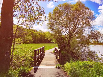 Weg der am Wasser entlangführt über eine kleine Holzbrücke