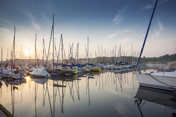 Am Steg des Cospudener Sees liegen zahlreiche Boote an.