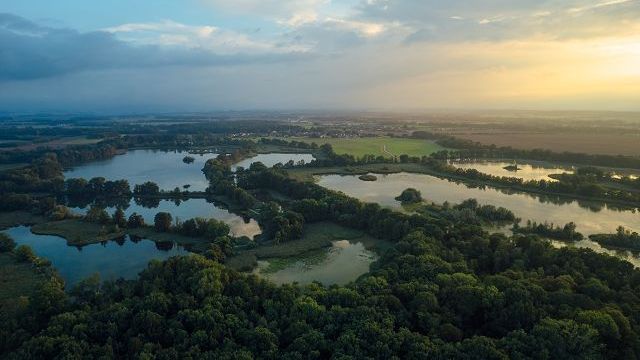 Blick über die waldige, von Teichen durchzogene Landschaft des Biosphärenreservats.