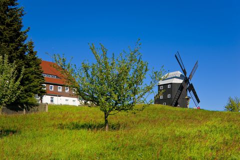 Auf einer Wiese in Kottmarsdorf in der Oberlausitz steht eine Bockwindmühle. 