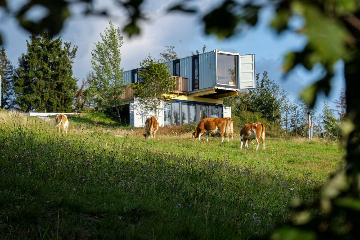 Bergheim Container Lofts in Schöneck